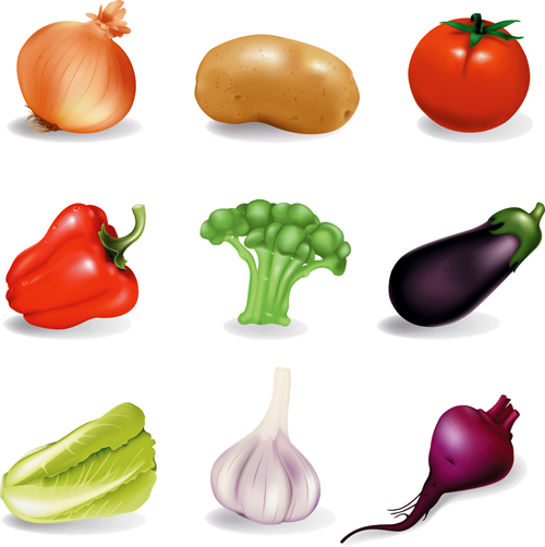 free vector Vector of common vegetables